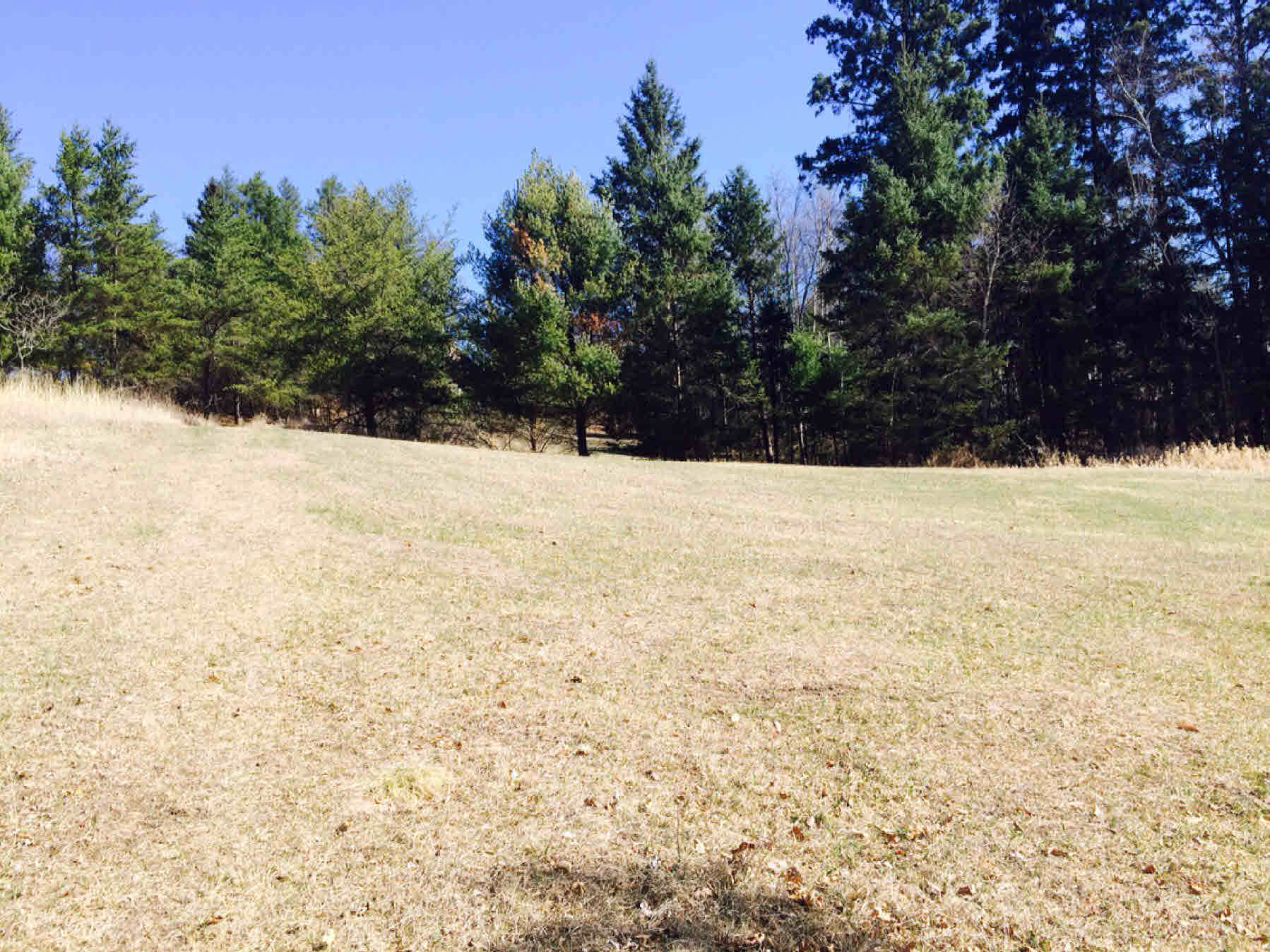 TBD Gateway Lane, Akeley, MN 56433