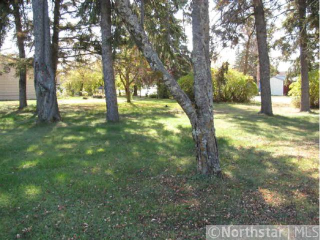 TBD NE Mill Street, Akeley, MN 56433
