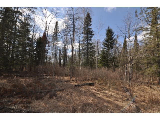 000 Fieldstone Dr, Akeley, MN 56433