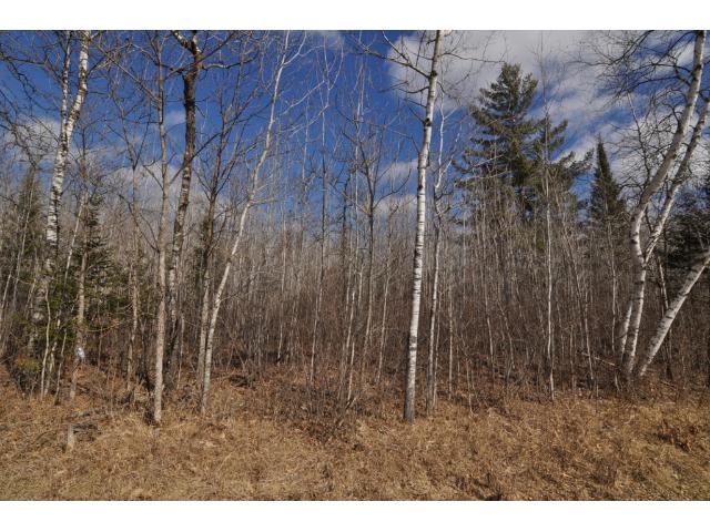 000 Fieldstone Dr, Akeley, MN 56433