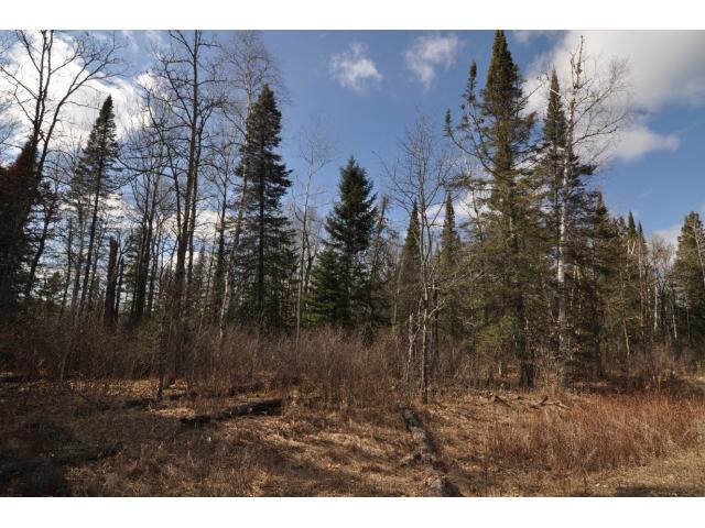 000 Fieldstone Dr, Akeley, MN 56433