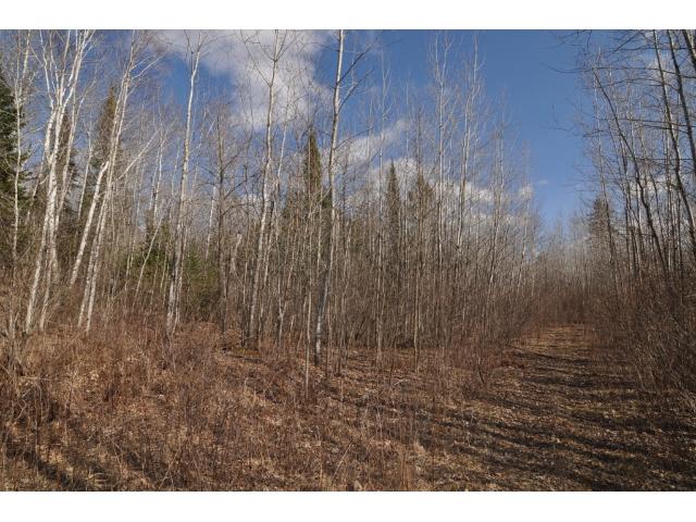 000 Fieldstone Dr, Akeley, MN 56433