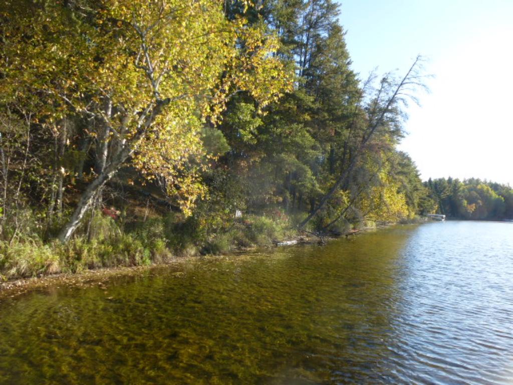 Tbd Johnson Lake Drive, Backus, MN 56435