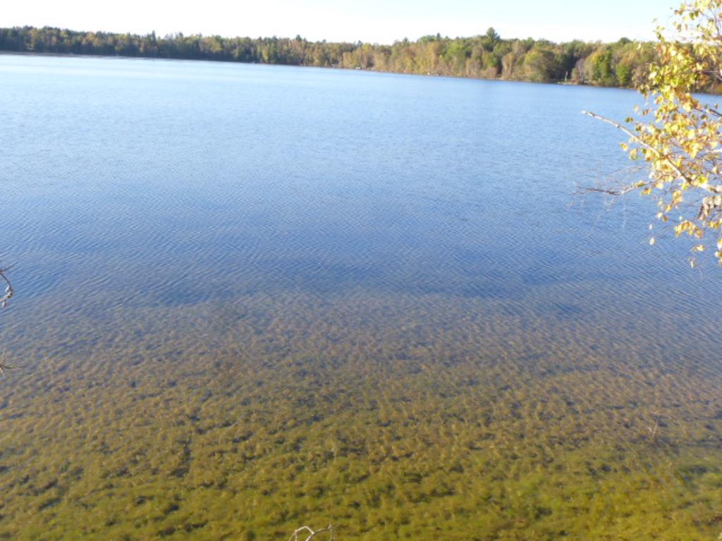 Tbd Johnson Lake Drive, Backus, MN 56435