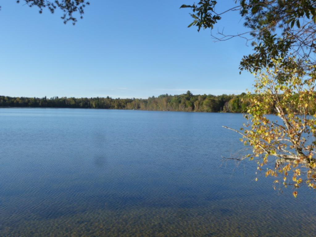 Tbd Johnson Lake Drive, Backus, MN 56435