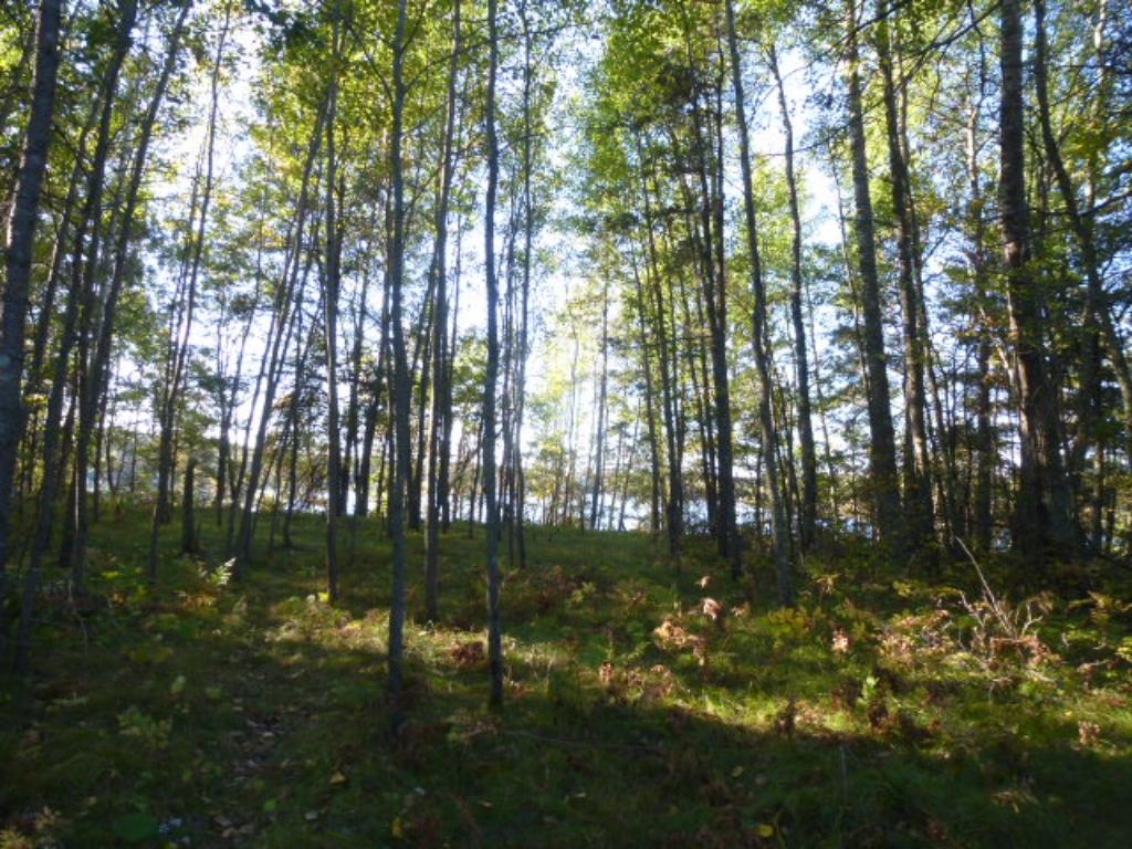 Tbd Johnson Lake Drive, Backus, MN 56435