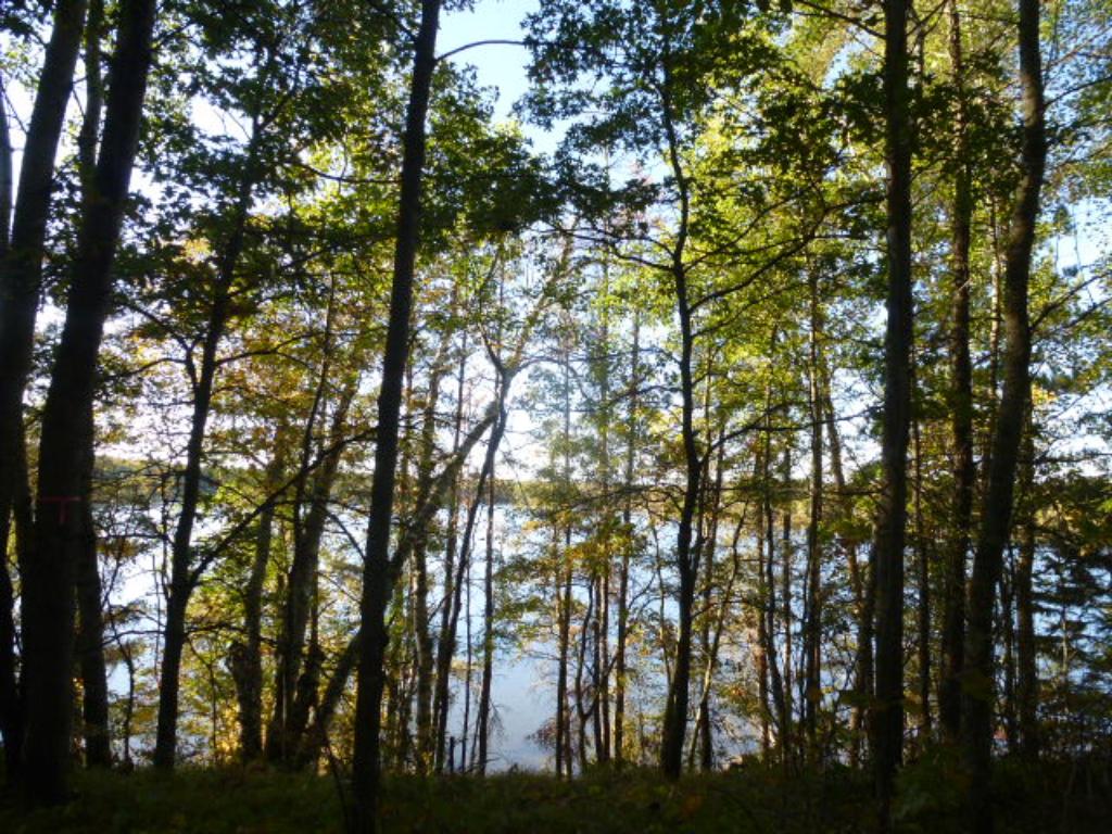 Tbd Johnson Lake Drive, Backus, MN 56435