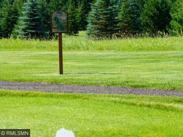 L6 B1 Big Bear Lane, Backus, MN 56435