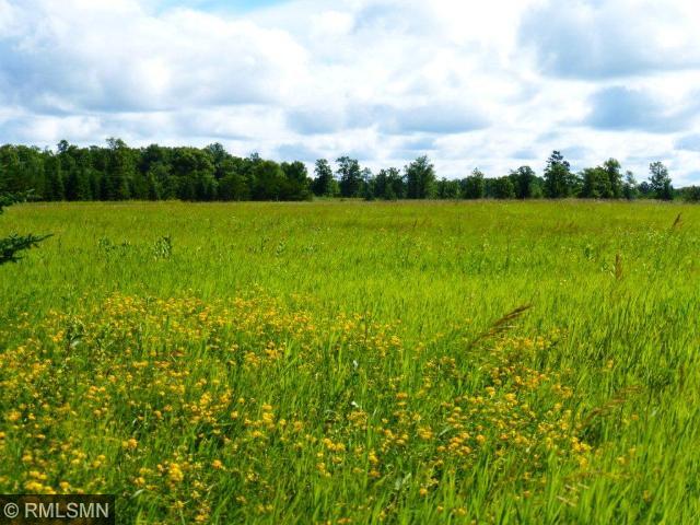 L6 B1 Big Bear Lane, Backus, MN 56435