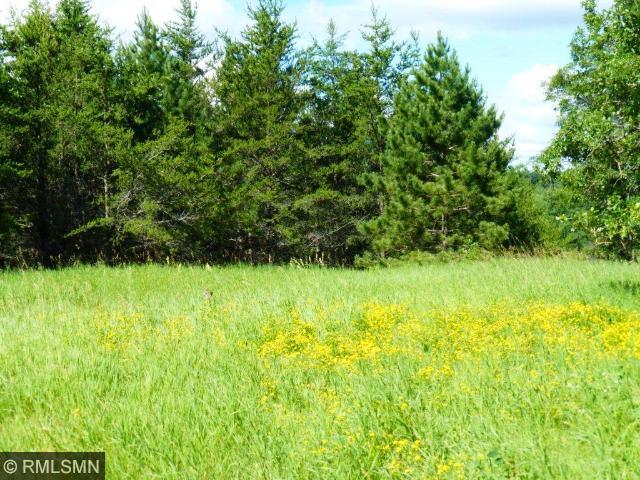 L6 B1 Big Bear Lane, Backus, MN 56435