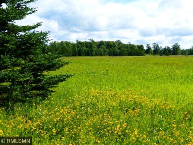 L3 B1 Big Bear Lane, Backus, MN 56435