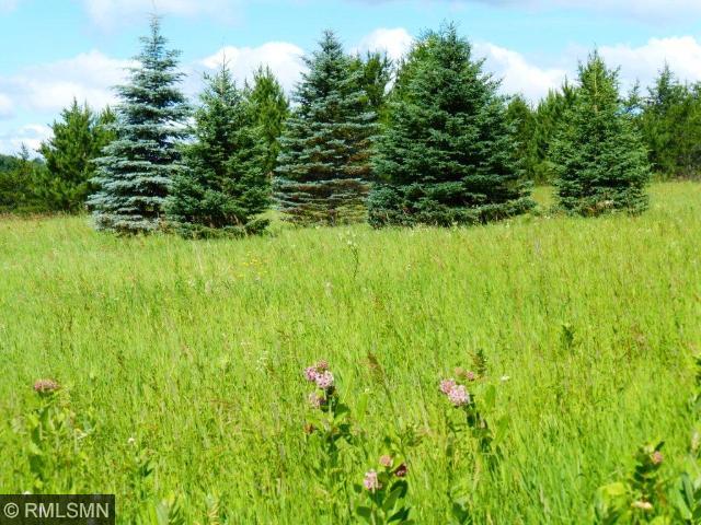 L3 B1 Big Bear Lane, Backus, MN 56435