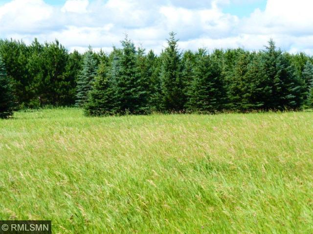 L3 B1 Big Bear Lane, Backus, MN 56435