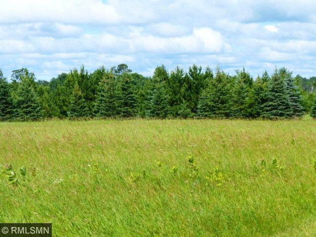 L3 B1 Big Bear Lane, Backus, MN 56435