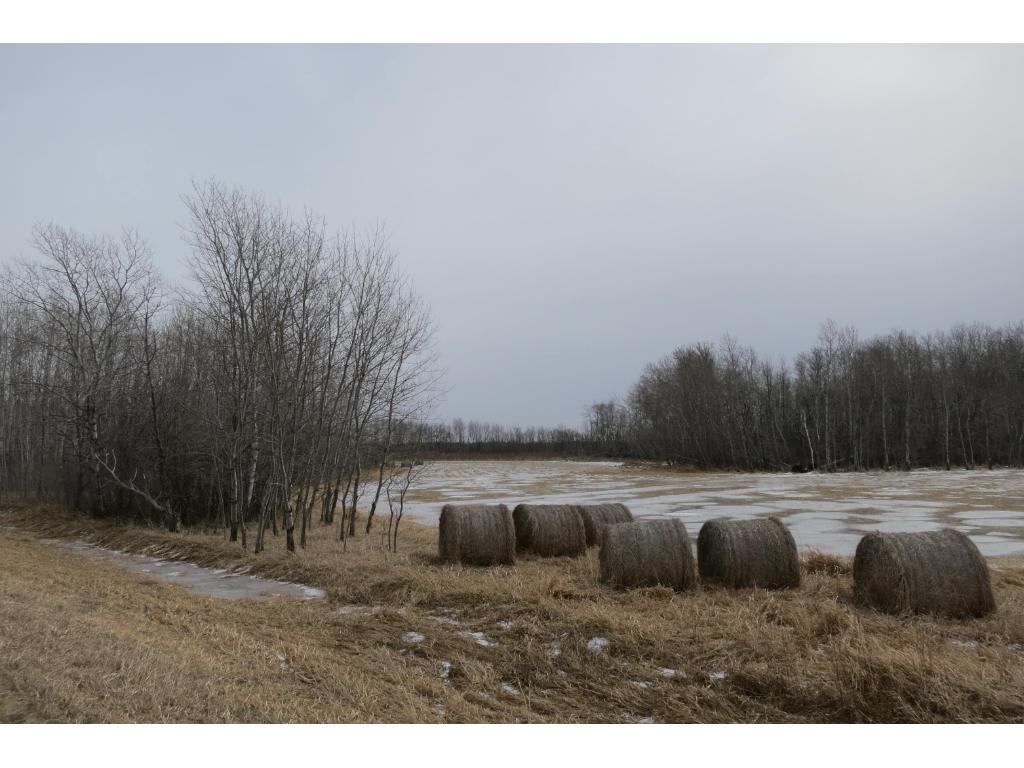 xxx County 24, Bertha, MN 56437
