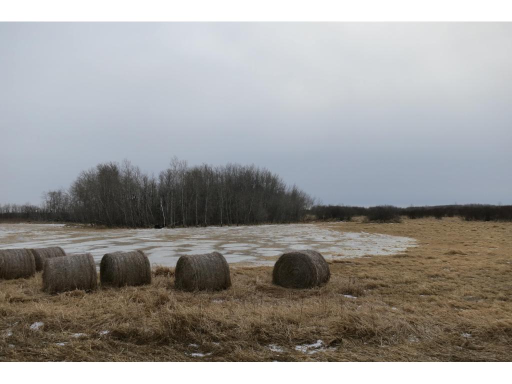 xxx County 24, Bertha, MN 56437