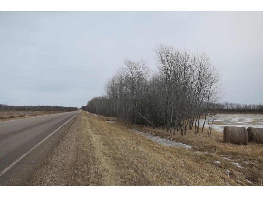 xxx County 24, Bertha, MN 56437