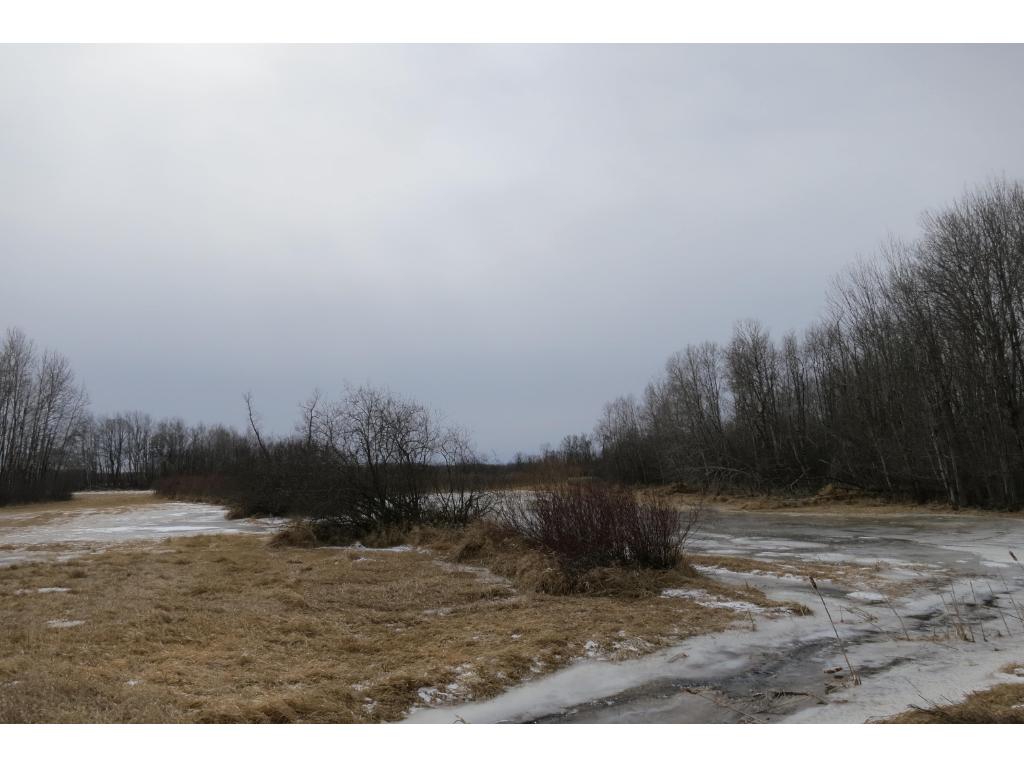 xxx County 24, Bertha, MN 56437