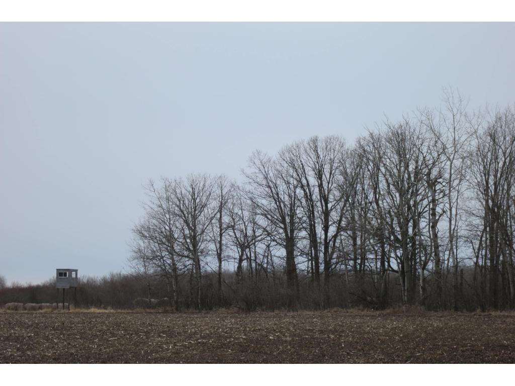 xxx County 24, Bertha, MN 56437