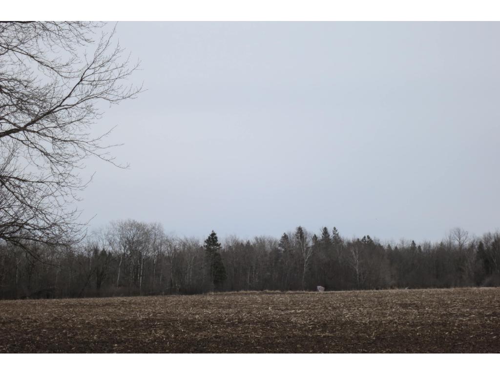 xxx County 24, Bertha, MN 56437