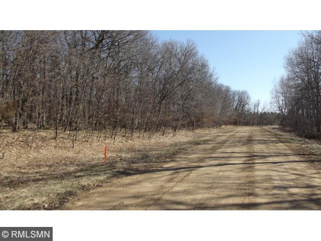 XXX Pacer Drive, Browerville, MN 56438