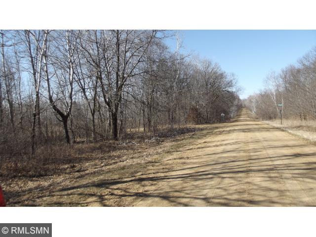 XXX Pacer Drive, Browerville, MN 56438