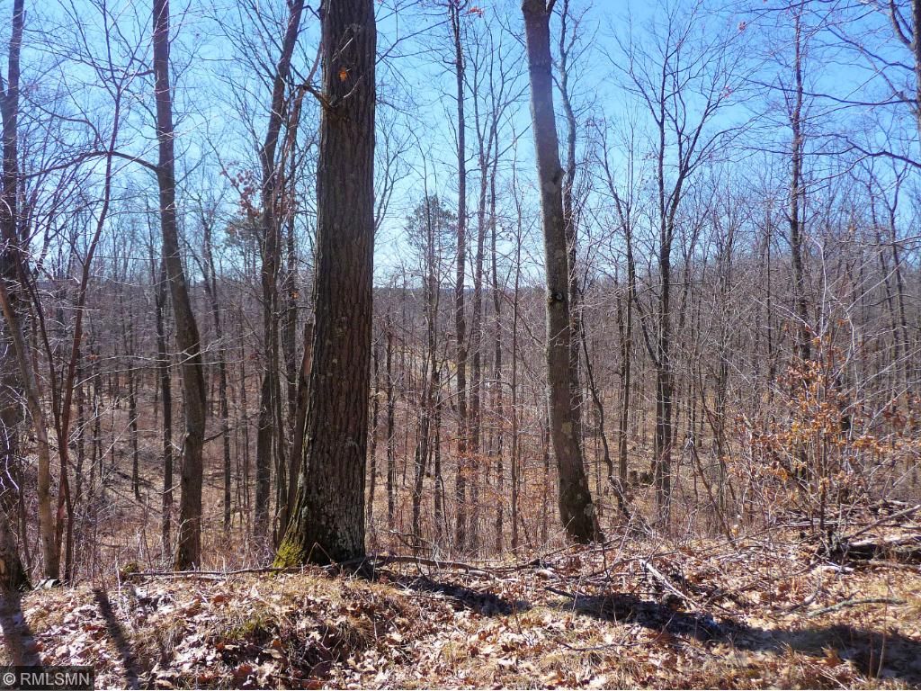 23809 Fox Run Lane, Cuyuna, MN 56441