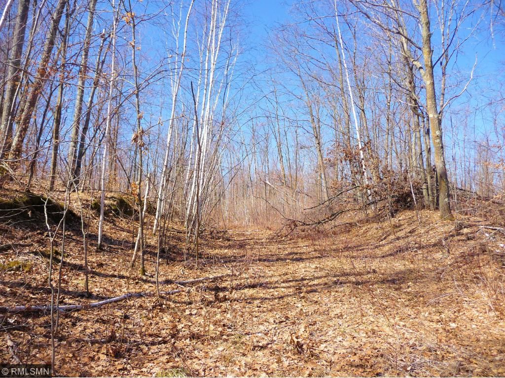 23809 Fox Run Lane, Cuyuna, MN 56441