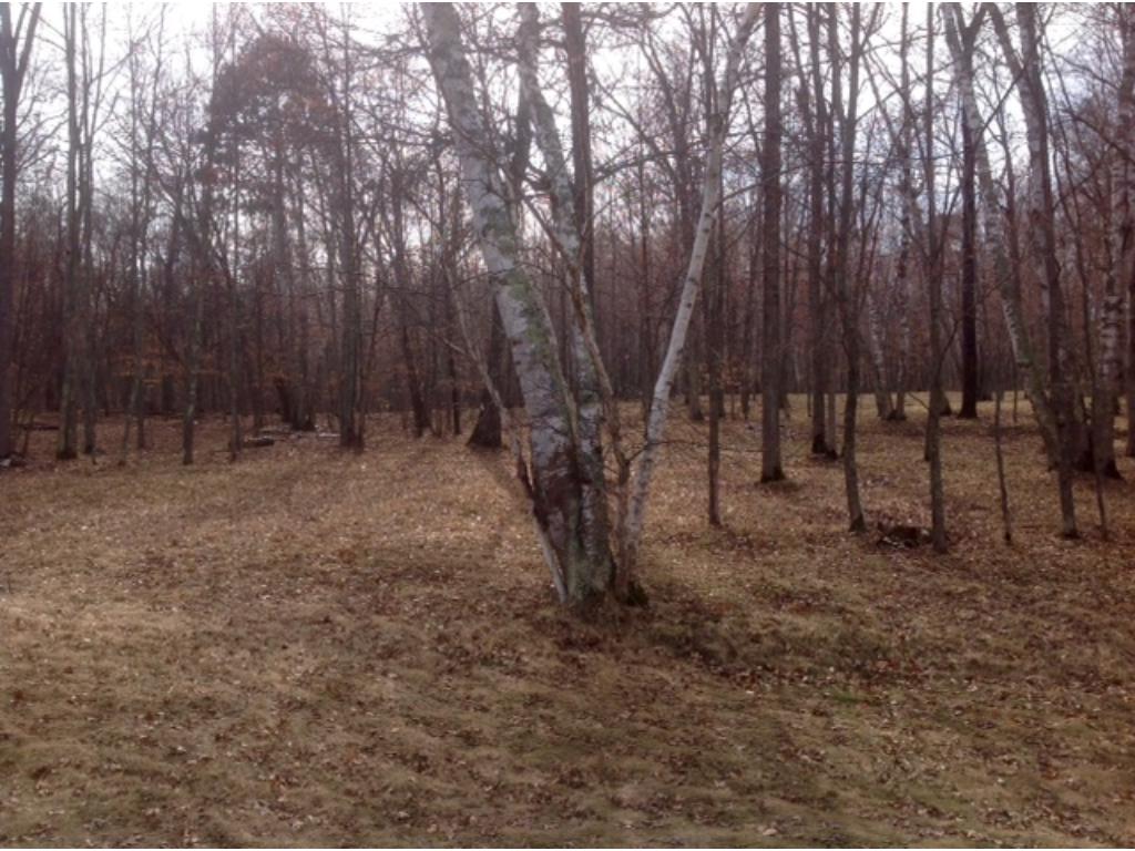 xxx Ox Lake Landing, Crosslake, MN 56442