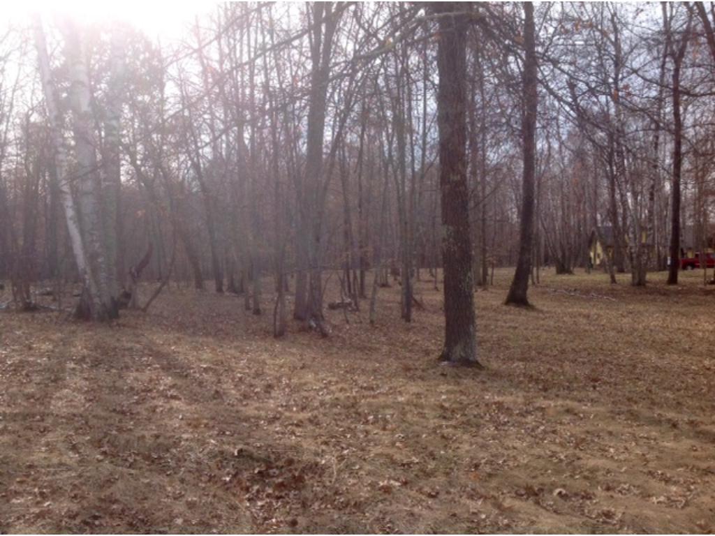 xxx Ox Lake Landing, Crosslake, MN 56442