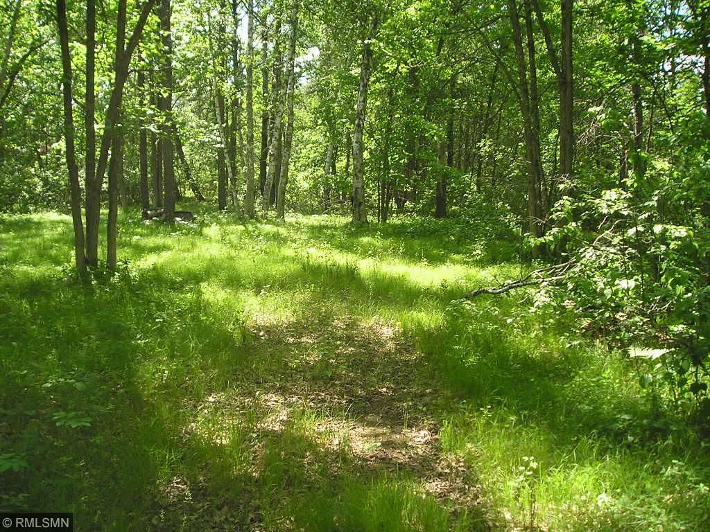 xxx Bunkhouse Road, Crosslake, MN 56442