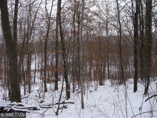 Lot 3 & 4 Cedar Road, Cushing, MN 56443
