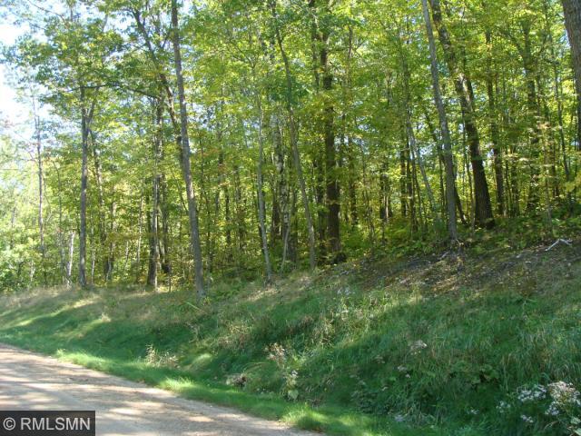 Lot 3 & 4 Cedar Road, Cushing, MN 56443