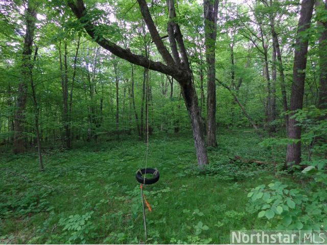 00 Mallard, Deerwood Twp, MN 56444