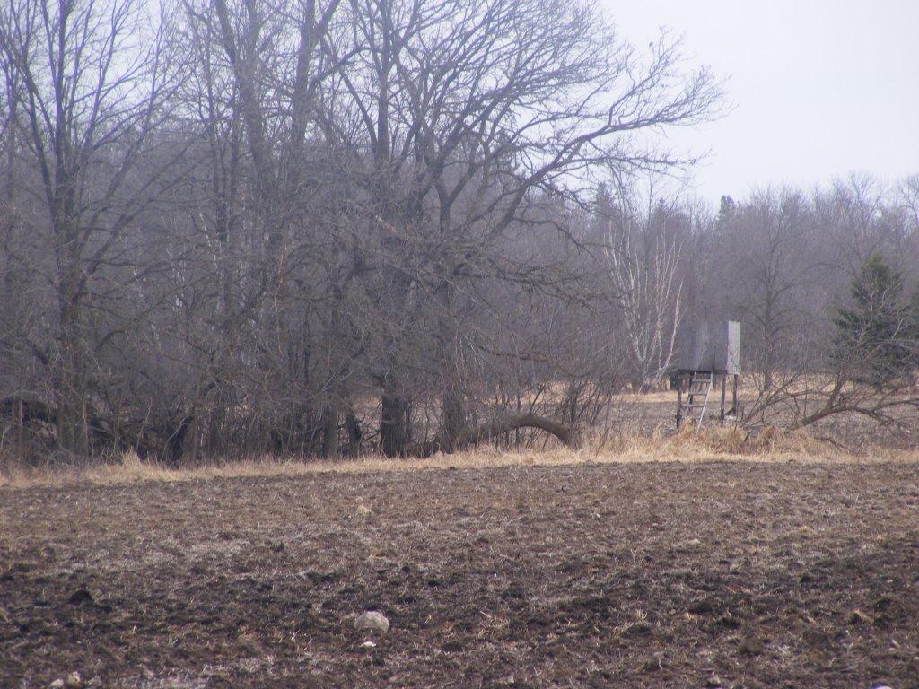 Co Rd 71, Eagle Bend, MN 56446