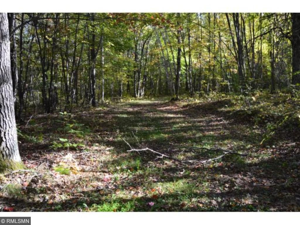19345 Blue Lane E, Emily, MN 56447