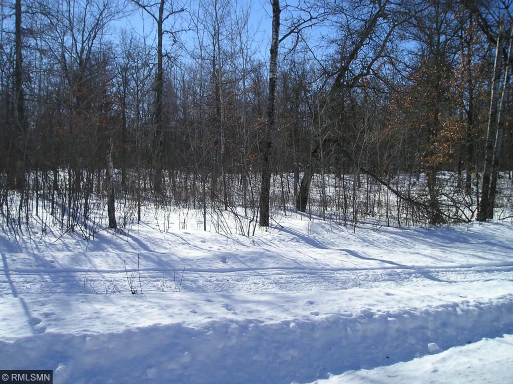 xxx Meyer Lake Road, Fifty Lakes, MN 56448