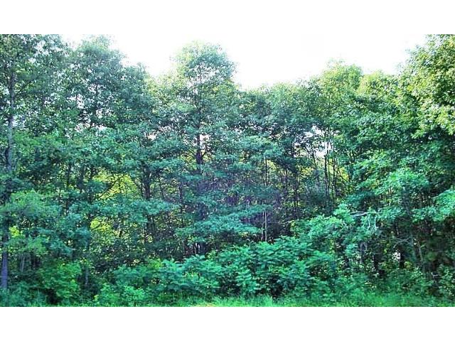3100 Crow Wing Lake Court, Fort Ripley, MN 56449