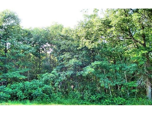 3100 Crow Wing Lake Court, Fort Ripley, MN 56449
