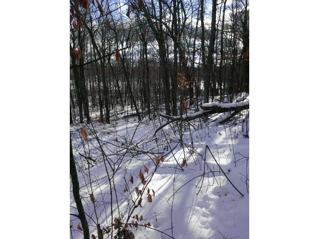 XXX Captive Lake Road, Kathio Twp, MN 56450