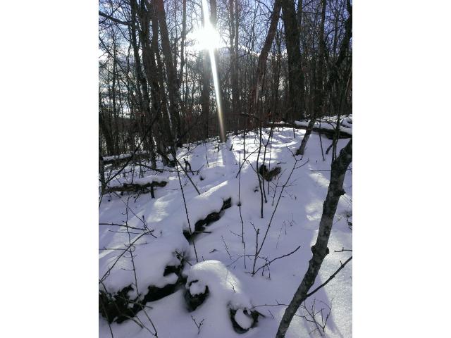 XXX Captive Lake Road, Kathio Twp, MN 56450