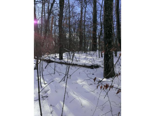 XXX Captive Lake Road, Kathio Twp, MN 56450