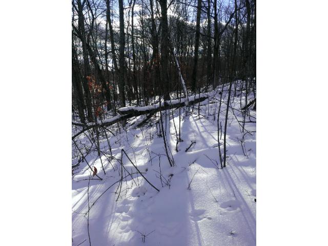 XXX Captive Lake Road, Kathio Twp, MN 56450