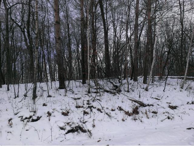 XXX Skyline Drive, Kathio Twp, MN 56450