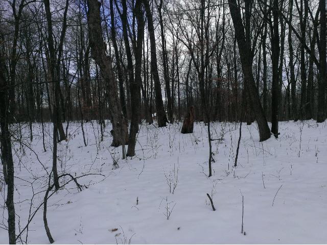 XXX Skyline Drive, Kathio Twp, MN 56450