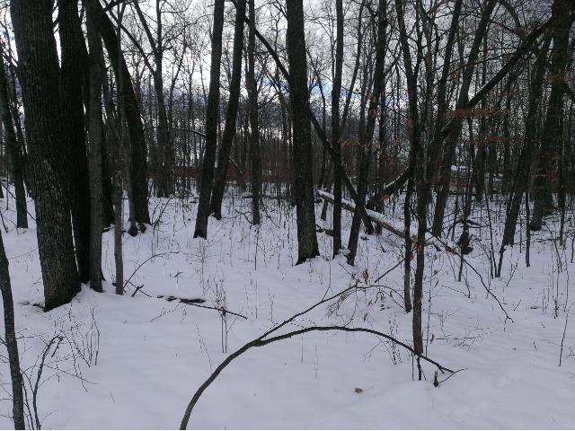 XXX Skyline Drive, Kathio Twp, MN 56450
