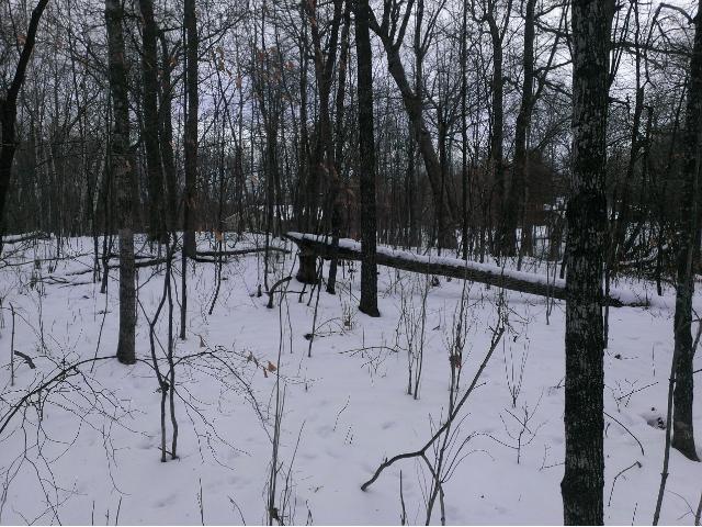 XXX Skyline Drive, Kathio Twp, MN 56450