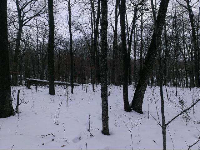 XXX Skyline Drive, Kathio Twp, MN 56450