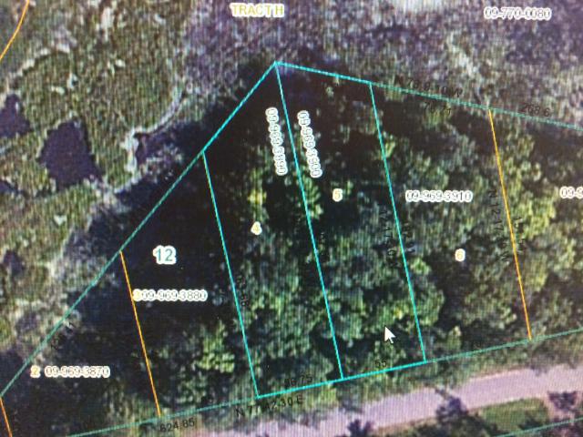 LOTS 4&amp;5 BLK PORT MILLE LACS GOLF, Kathio Twp, MN 56450