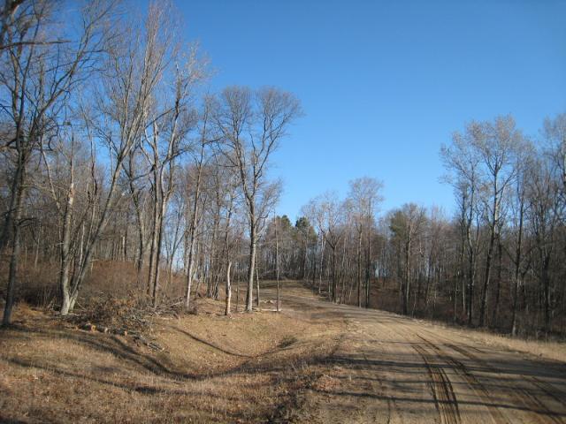tbd Red Oak Drive, Hackensack, MN 56452